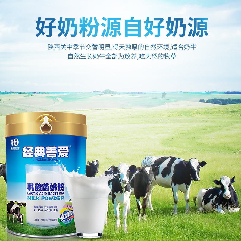 經(jīng)典善愛乳酸菌奶粉500克罐